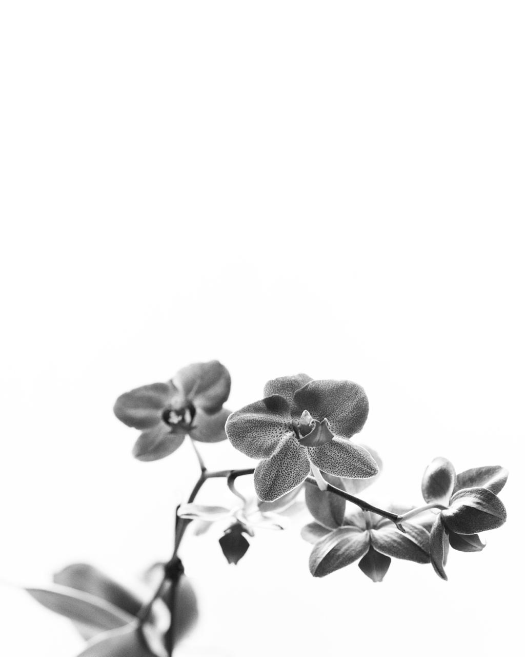 WhatsApp Image 2026-02-21 at 18.32.22 (1)